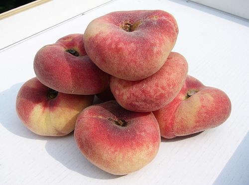 Pesca Piatta Pladi Bella (10 Kg)